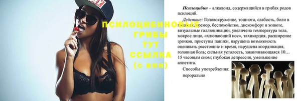ешки Остров