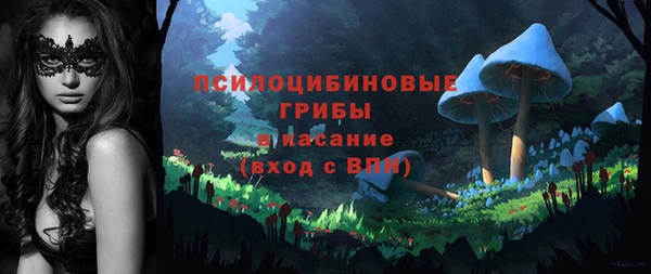 марки lsd Осинники