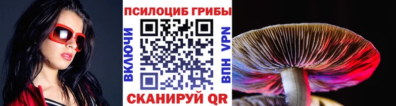 Галлюциногенные грибы прущие грибы  Алупка 